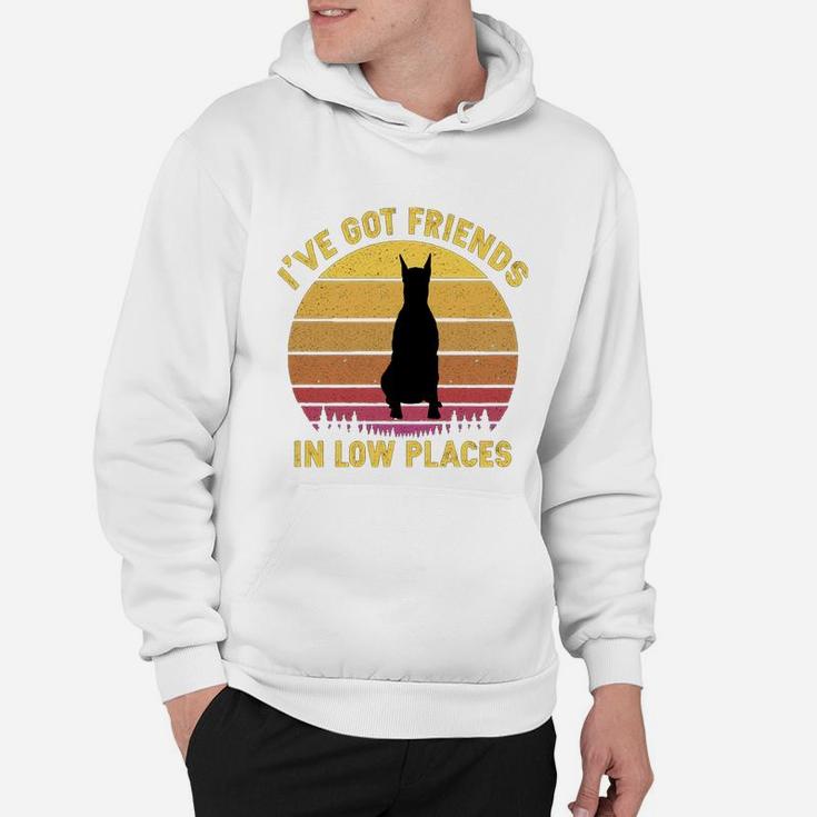 Vintage Doberman I Have Got Friends In Low Places Dog Lovers Hoodie