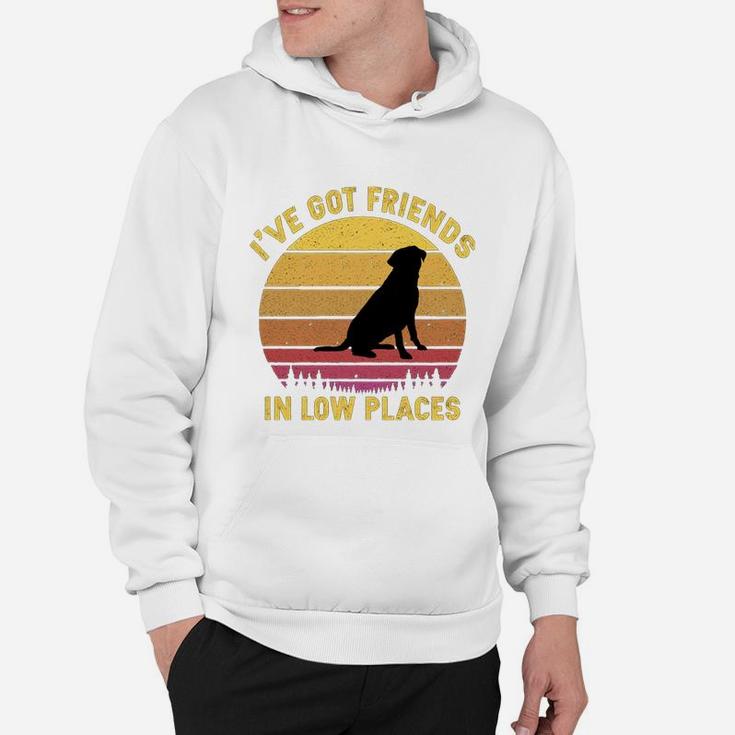 Vintage Labrador Retriever I Have Got Friends In Low Places Dog Lovers Hoodie