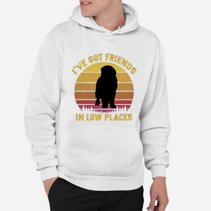 Vintage Newfoundland I Have Got Friends In Low Places Dog Lovers Hoodie