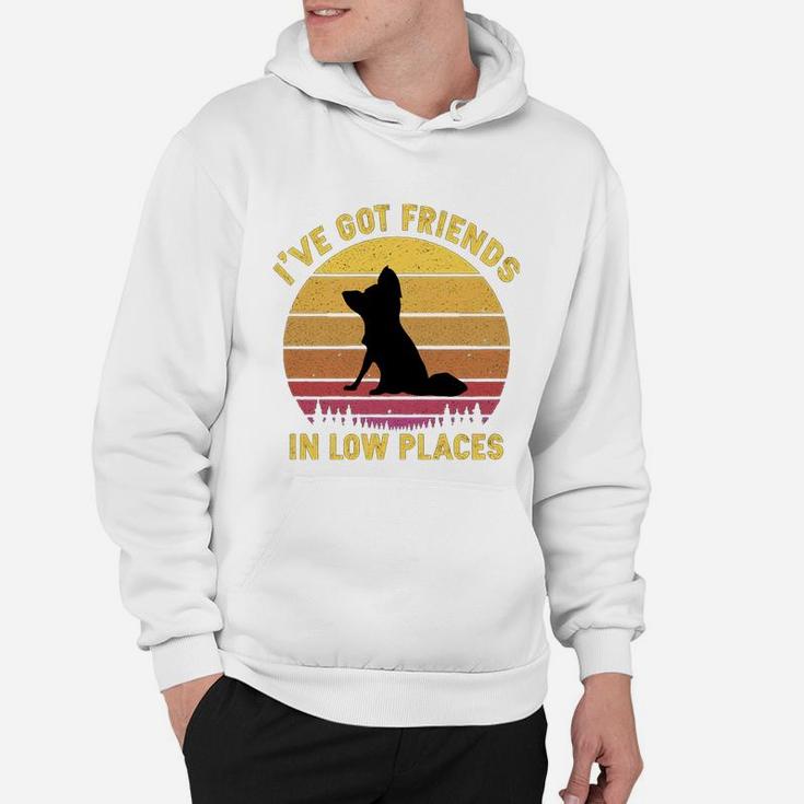Vintage Papillon I Have Got Friends In Low Places Dog Lovers Hoodie