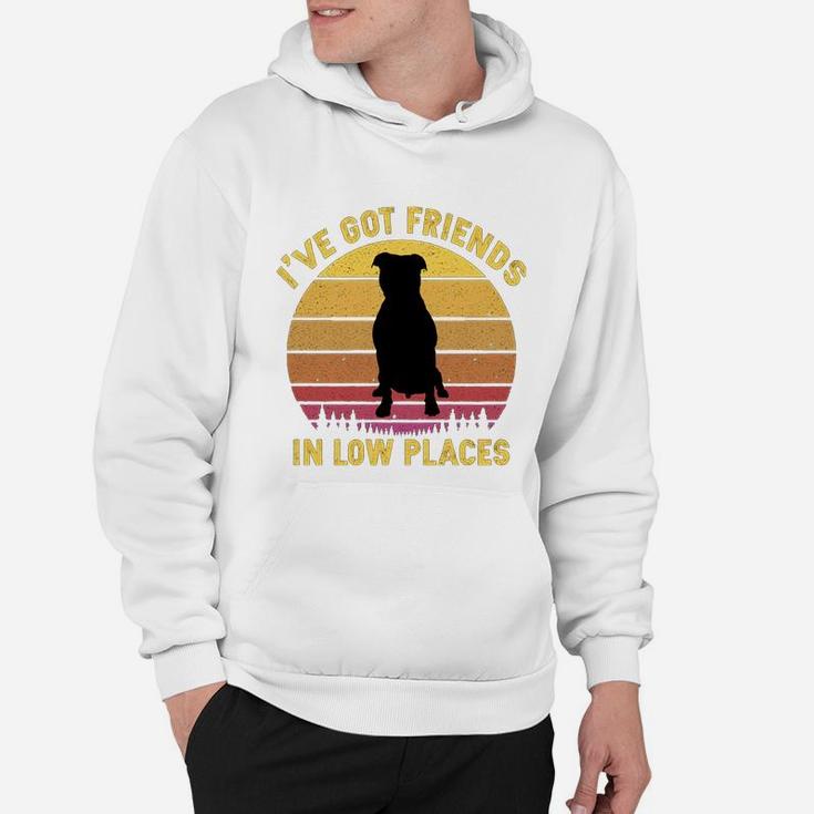 Vintage Pitbull I Have Got Friends In Low Places Dog Lovers Hoodie