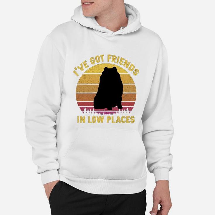 Vintage Pomeranian I Have Got Friends In Low Places Dog Lovers Hoodie