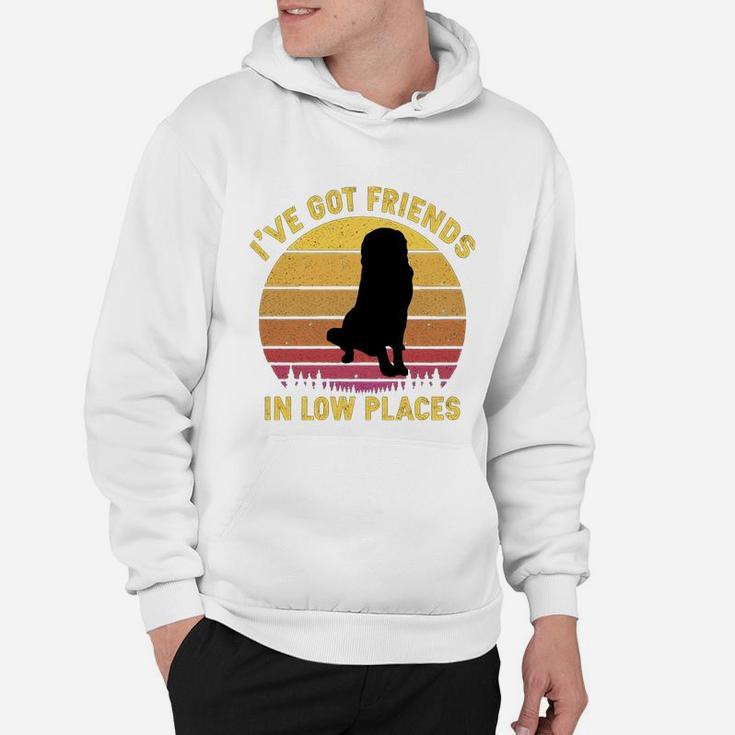 Vintage Saint Bernard I Have Got Friends In Low Places Dog Lovers Hoodie