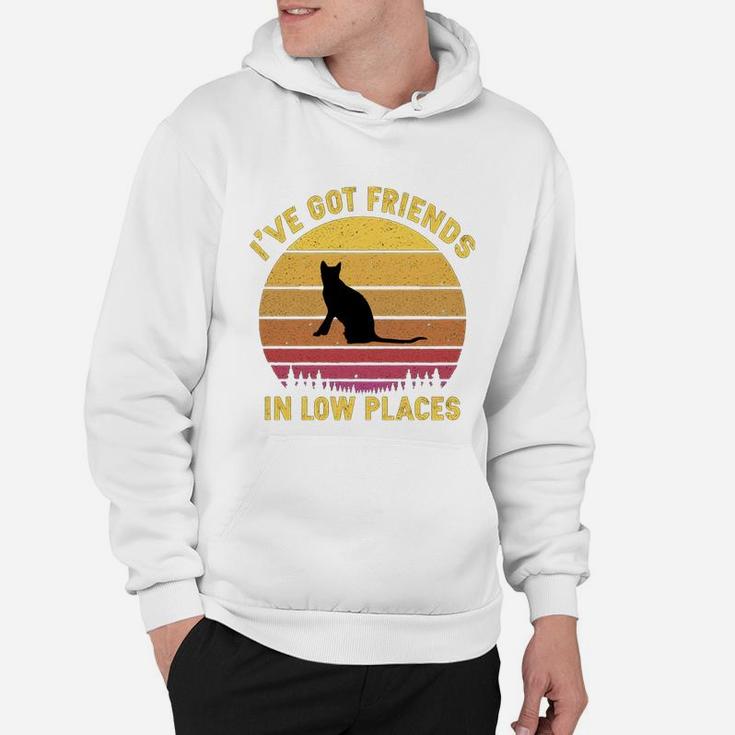 Vintage Toyger I Have Got Friends In Low Places Cat Lovers Hoodie