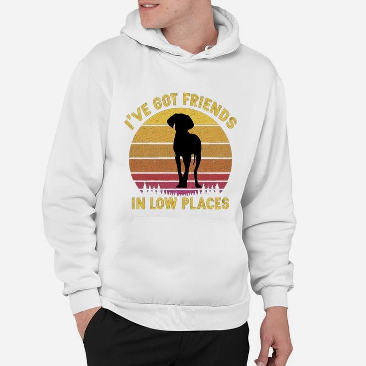 Vintage Weimaraner I Have Got Friends In Low Places Dog Lovers Hoodie
