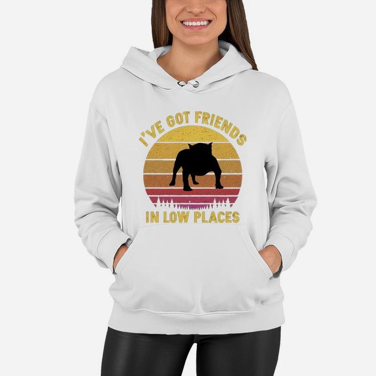 Vintage American Bully I Have Got Friends In Low Places Dog Lovers Women Hoodie