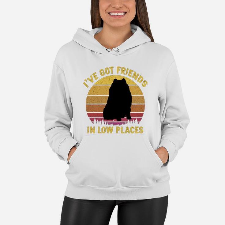Vintage Pomeranian I Have Got Friends In Low Places Dog Lovers Women Hoodie