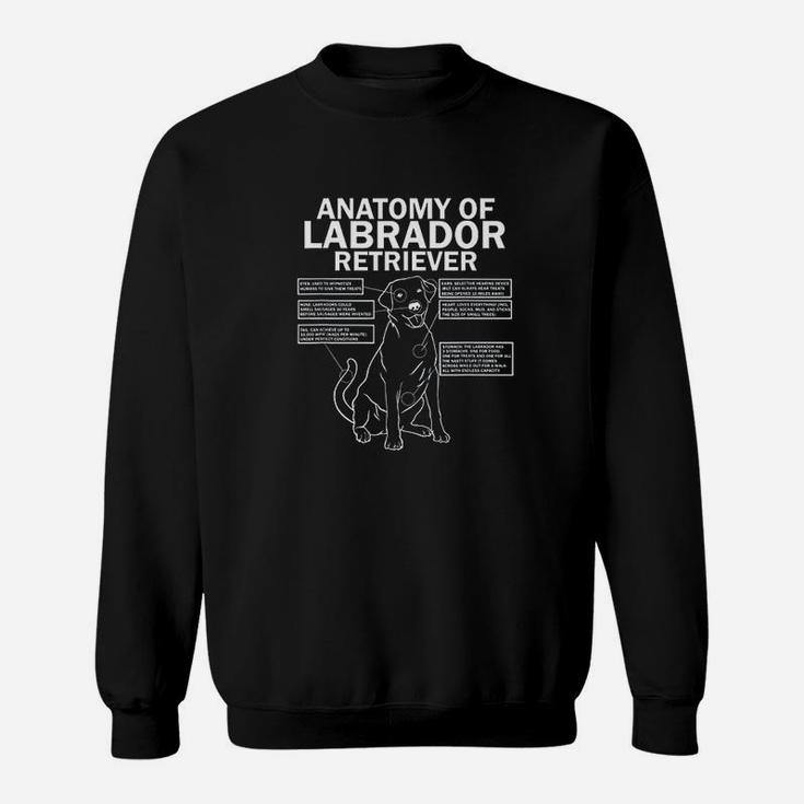 Anatomy Of A Labrador Retriever Funny Lab Dog Owner Gifts Sweat Shirt