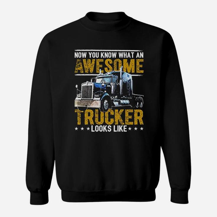 Awesome Trucker Big Rig Sem Trailer Truck Driver Sweat Shirt