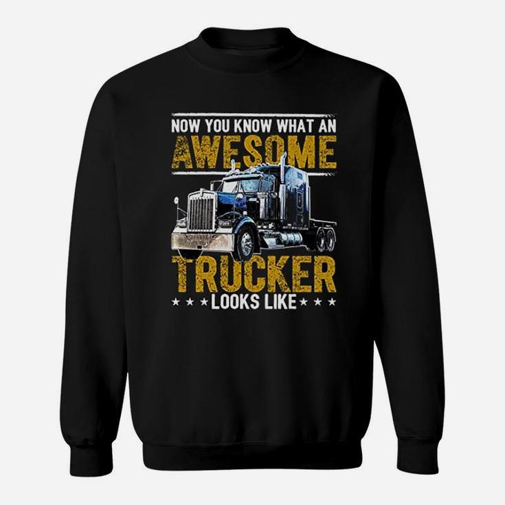 Awesome Trucker Big Rig Semi Trailer Truck Driver Gift Sweat Shirt