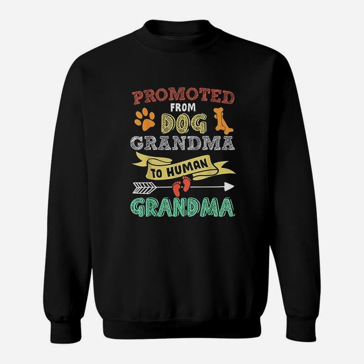 Promoted From Dog Grandma To Human Grandpa Sweat Shirt