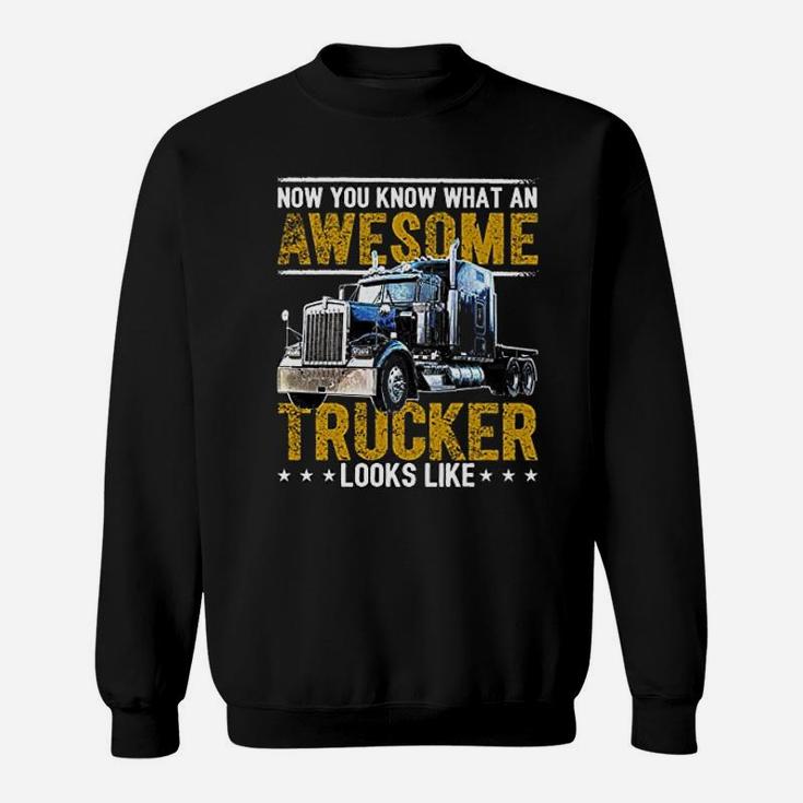 Trucker Big Rig Semi Trailer Truck Driver Gift Sweatshirt