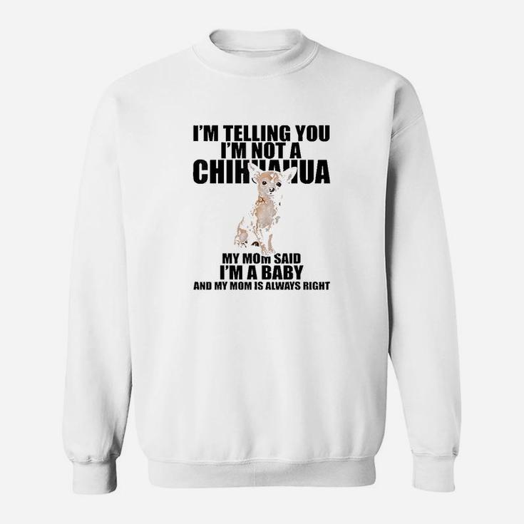 Chihuahua Dog Im Telling You Im Not A Chihuahua Sweat Shirt
