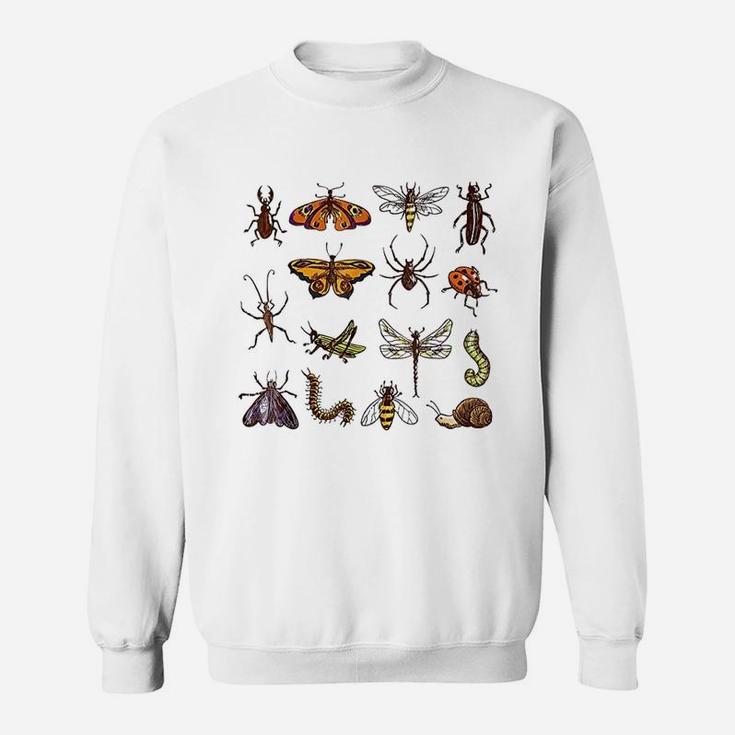 Entomology Collection Of Insects Funny Bug Sweat Shirt