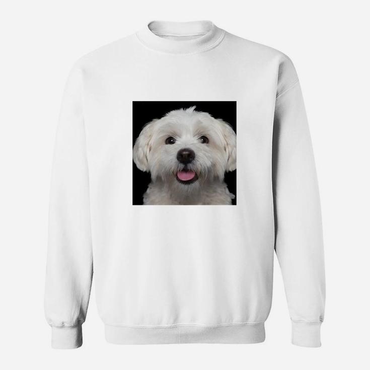 Fröhlicher Hund Malteser Motiv Sweatshirt, Weißes Lustiges Tee