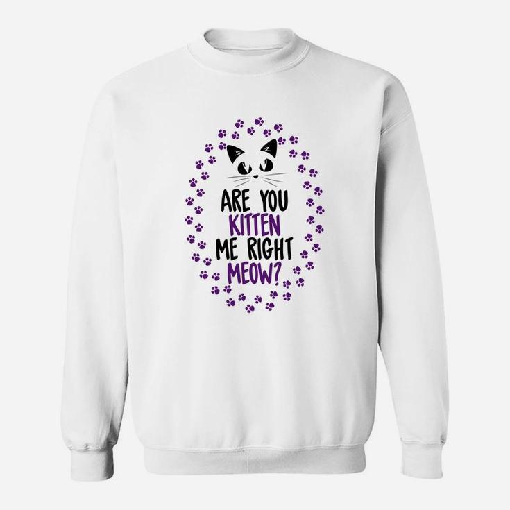 Funny Are You Kitten Me Meow Cat Lover Perfect Gift Sweat Shirt