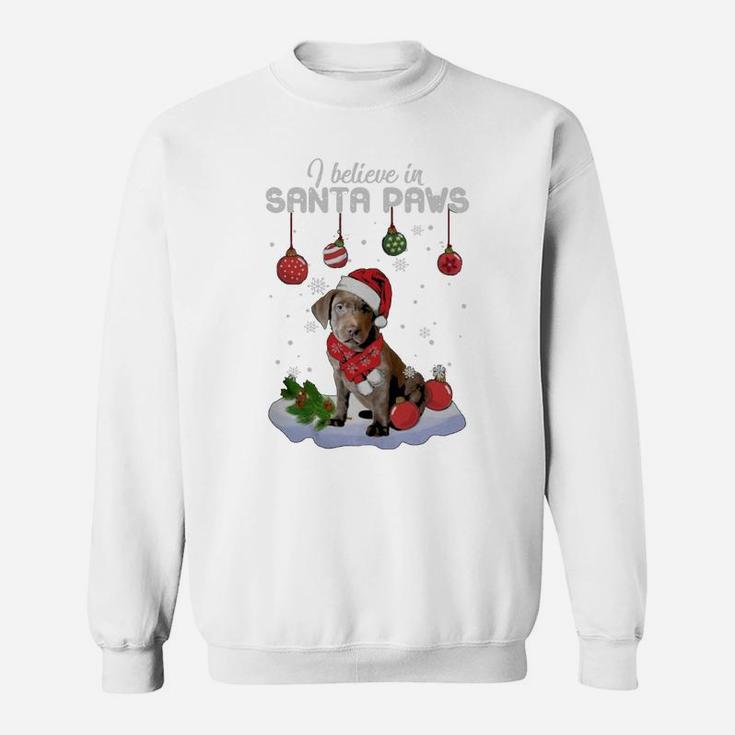 Silver Labrador Retriever Santa Paws Classic Dog Christmas Sweat Shirt