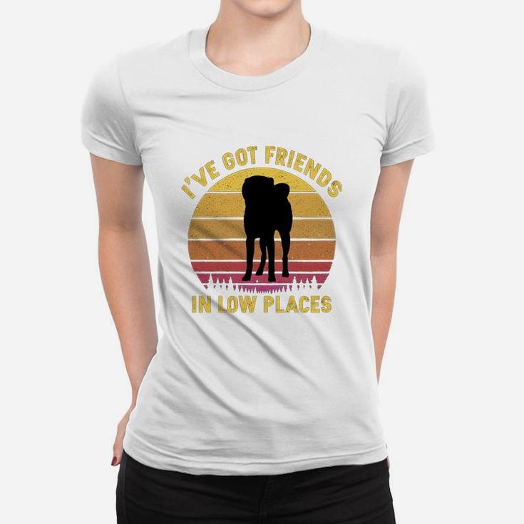 Vintage Akita Inu I Have Got Friends In Low Places Dog Lovers Ladies Tee