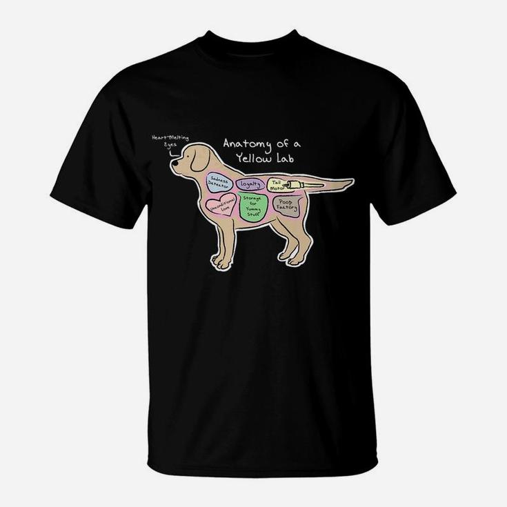 Funny Labrador Dog Anatomy Of A Yellow Lab T-Shirt | Seseable