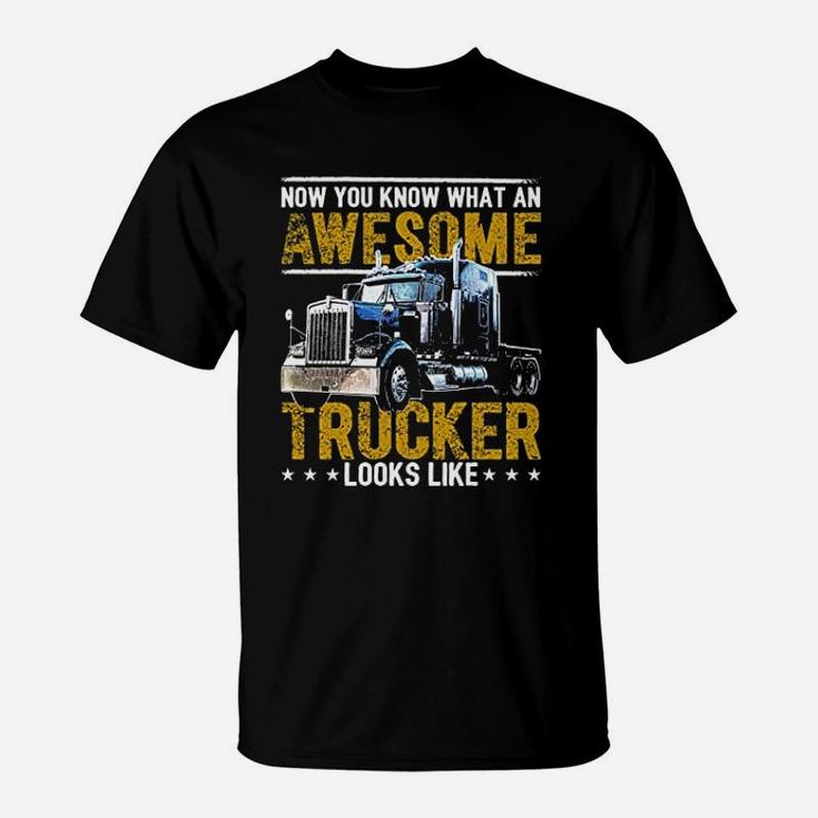 Awesome Trucker Big Rig Sem Trailer Truck Driver T-Shirt