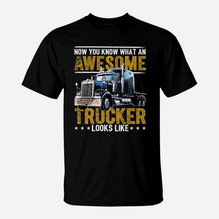 Awesome Trucker Big Rig Semi Trailer Truck Driver Gift T-Shirt