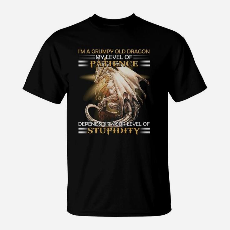 Im A Grumpy Old Dragon My Level Of Patience Depends On Your Level Of Stupidity T-Shirt