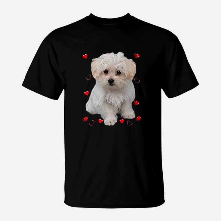 Maltese Dog Lover Dogs Puppies Owners T-Shirt