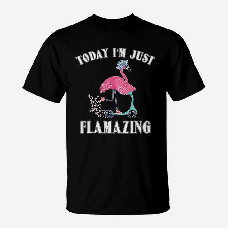 Today I Am Just Flamazing Flamingo Cycling Funny T-Shirt