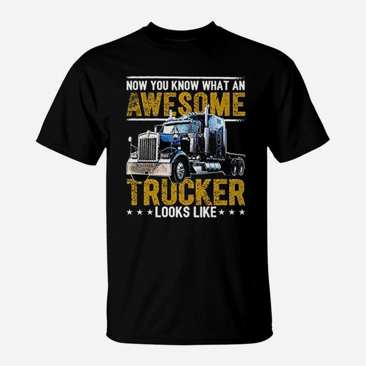 Trucker Big Rig Semi Trailer Truck Driver Gift T-Shirt
