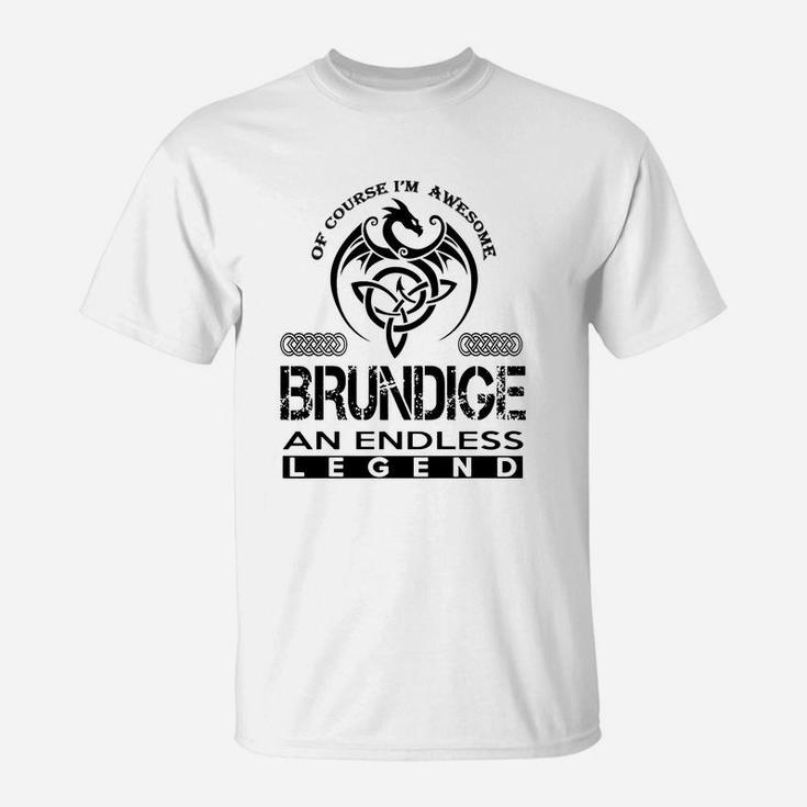 Brundige Shirts - Awesome Brundige An Endless Legend Name Shirts T-Shirt