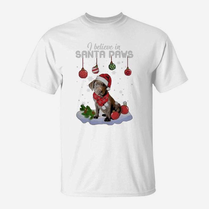 Silver Labrador Retriever Santa Paws Classic Dog Christmas T-Shirt