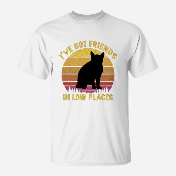 Vintage American Wirehair I Have Got Friends In Low Places Cat Lovers T-Shirt