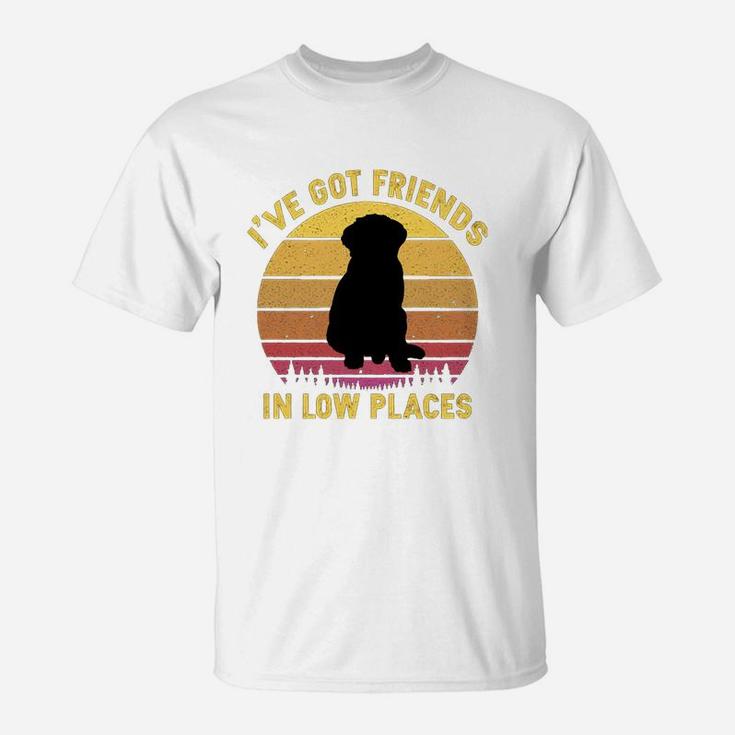 Vintage Bernese Mountain I Have Got Friends In Low Places Dog Lovers T-Shirt
