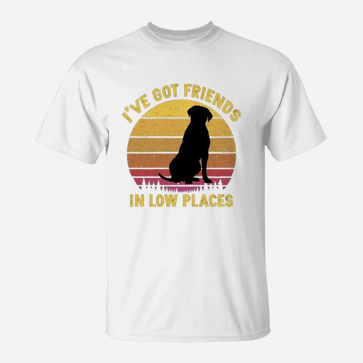 Vintage Cane Corso I Have Got Friends In Low Places Dog Lovers T-Shirt